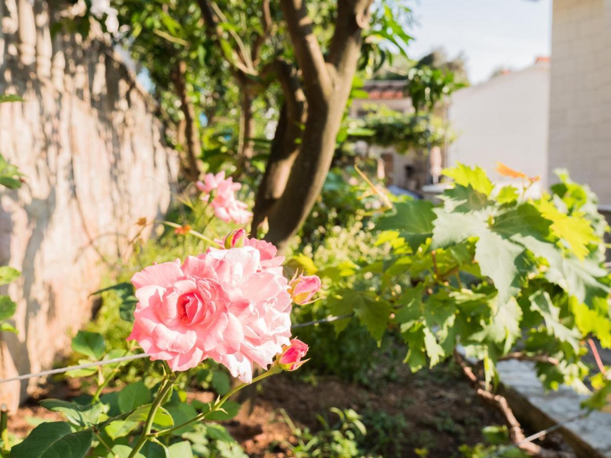 Rezevici Boutique Villa Petrovac Ngoại thất bức ảnh